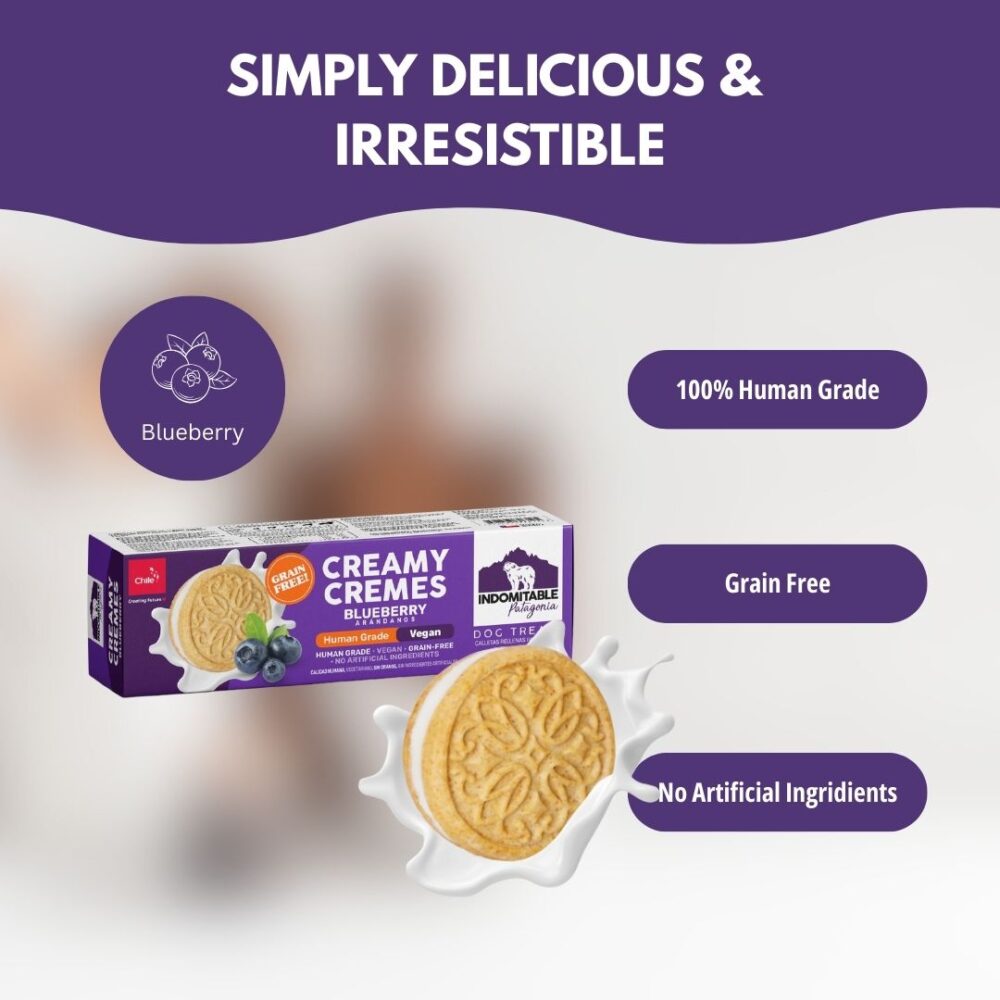 Creamy Cremes Dog - Blueberry - Image 3