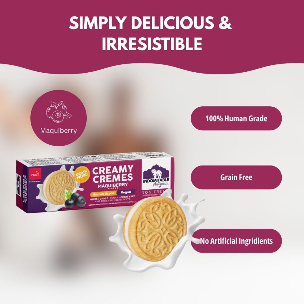 Creamy Cremes Dog - Maquiberry - Image 4