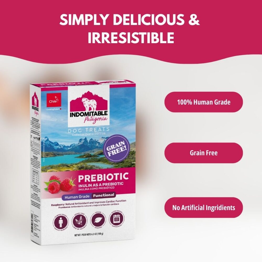 Prebiotic Dog Biscuit - Raspberry - Image 3