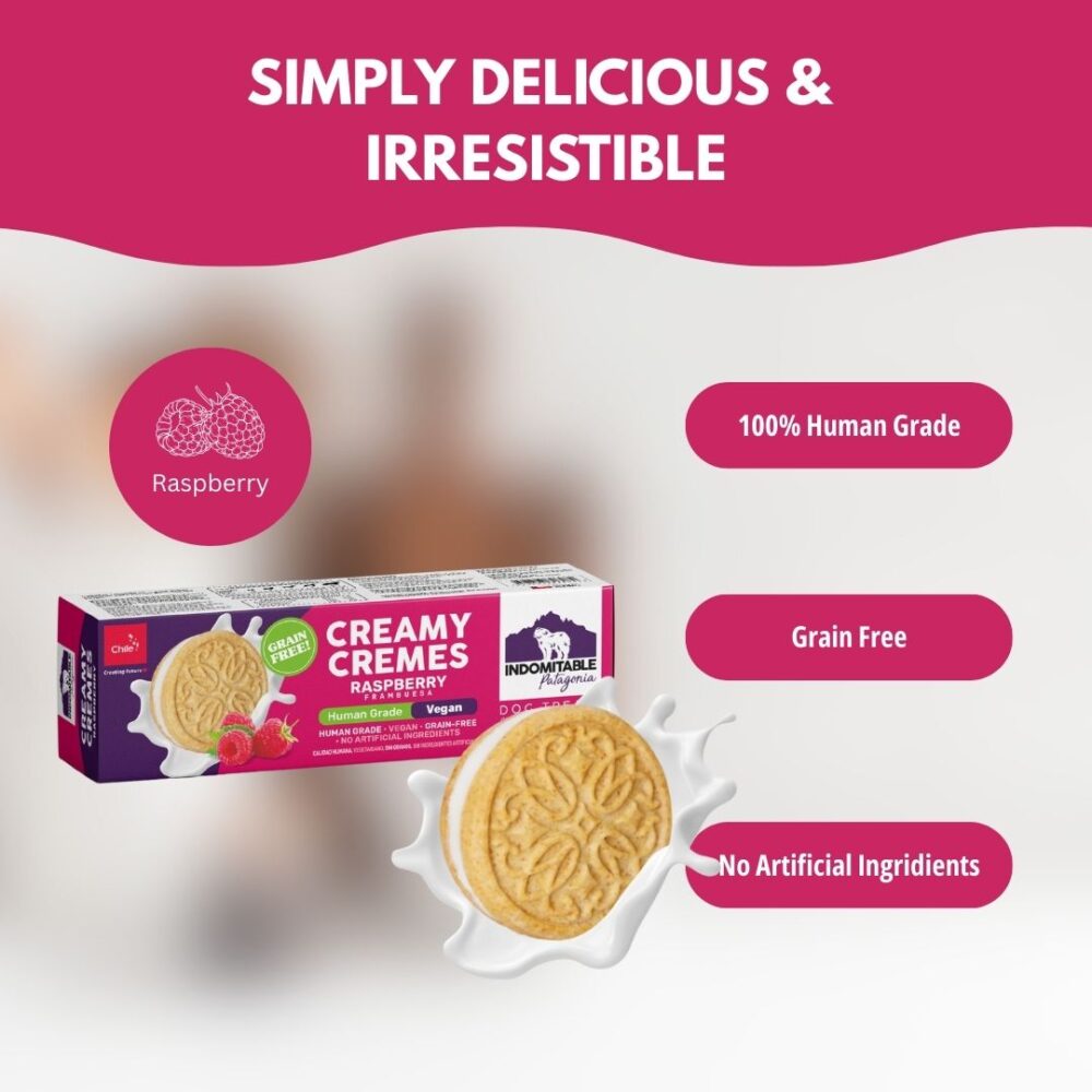 Creamy Cremes Dog -  Raspberry - Image 3