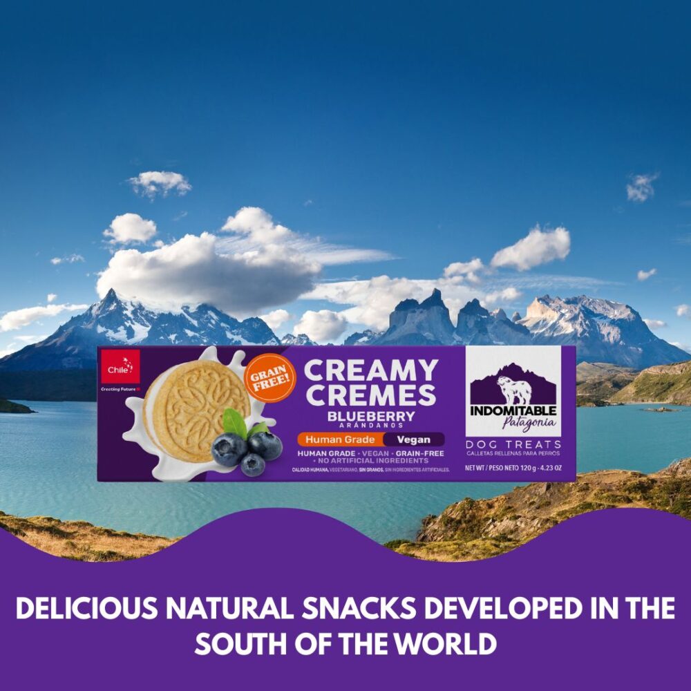 Creamy Cremes Dog - Blueberry - Image 4