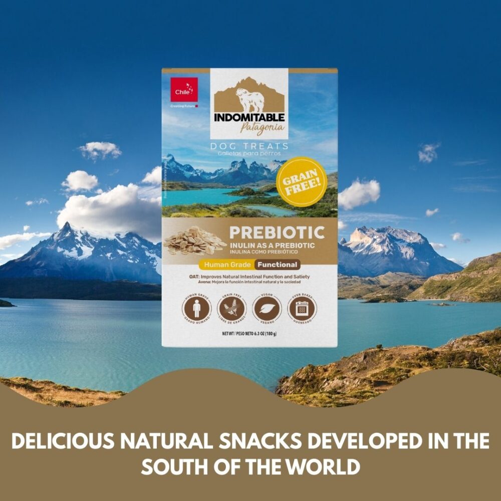 Prebiotic Dog Biscuit - Oat - Image 2