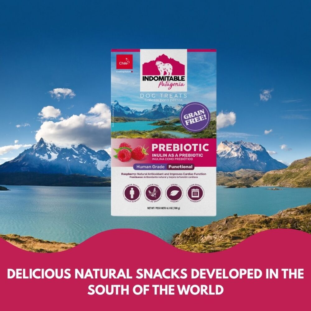 Prebiotic Dog Biscuit - Raspberry - Image 4