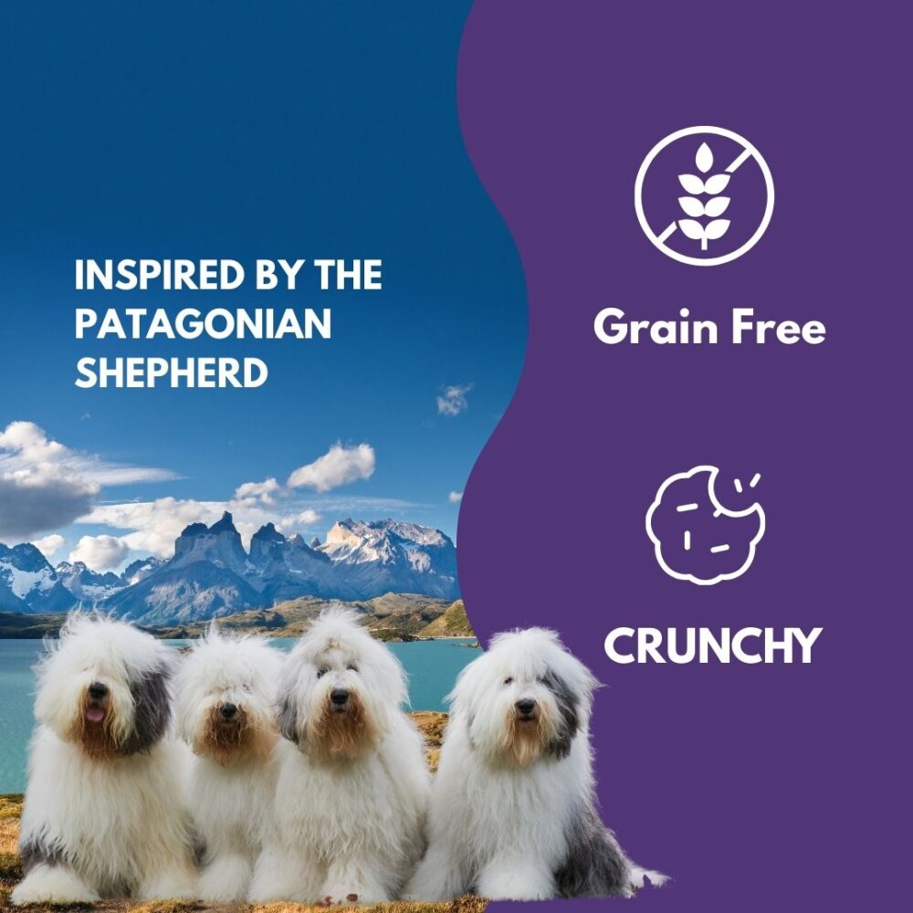 Creamy Cremes Dog - Maquiberry - Image 6