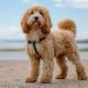iStock-1402117306-1-960×540 iStock-1402117306-1-960x540